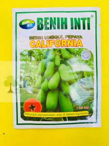 Benih Pepaya CALIFORNIA kemasan 60 biji dari Benih Inti MANTAB