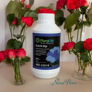 ควิกดิป 100 ขนาด 500 มล. Quickdip 100