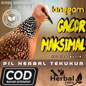 PROMO LANGGAM PIL BURUNG JAMU BURUNG TEKUK BURUNG TEKUKUR DERKUKU MANGGUNG GACOR ANDALAS