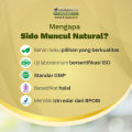 Paket Rahmat 2 - Botol Sido Muncul Natural Sari Temulawak 30 Kapsul. 