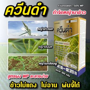 ควินคลอแรก 50 ควีนดำ สารกำจัดวัชพืช ในนาข้าว กำจัด หญ้าข้าวนก ลิเก กระดูกไก่ หญ้าแดงหญ้าพุ่มพวง ข้าวไม่โทรม ข้าวไม่แดง 100 กรัม ตราซิกม่า