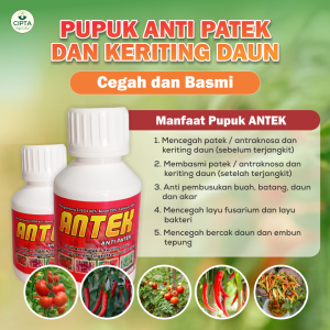 ANTEK ANTI PATEK ANTI KERITING DAUN BERGARANSI