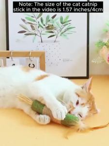 Catnip Stick 30cm Cat Toys Used For Cat Tooth Cleaning Calming Anxiety And Stress