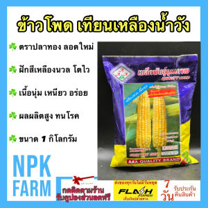 ปลาทอง ข้าวโพด เทียนเหลืองน้ำวัง ขนาด 1 กิโลกรัม หมดอายุ 04/2569 เทียนเหลือง ข้าวโพดเทียน ข้าวโพดหวาน ฝักสีเหลืองนวล เนื้อนุ่มเหนียว อร่อย ผลผลิตสูง