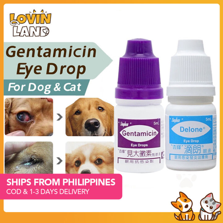 Gentamicin dog 2024 ear drops