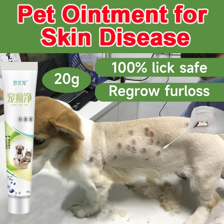 20G Dog Ointment For Skin Disease Gamot Sa Galis Ng Aso Healing Wounds ...