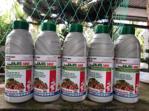 [VTNN TIEN KHOA] 5 CHAI HoangAnhVil nguyên liệu Ấn Độ 1 lít trừ bệnh đạo ôn đốm vằn lem lép hạt nám trái thán thư rỉ sắt nấm hồng sương mai phấn trắng