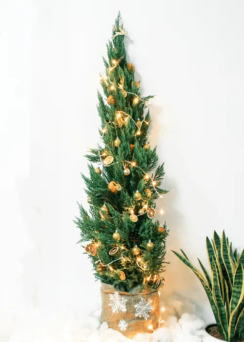 C%C3%A2y%20S%C6%A1n%20T%C3%B9ng,%20C%C3%A2y%20Trang%20Tr%C3%AD%20Gi%C3%A1ng%20Sinh,%20C%C3%A2y%20Th%C3%B4ng%20Noel%20%20Cao%201Met%20-%20Image%203