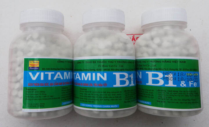 8 lọ VITAMIN B1 và Fe 1200 viên 200g KÍCH THÍCH GIA SÚC, GIA CẦM, CHÓ MÈO HAM ĂN CHÓNG LỚN, TIÊU HÓA TỐT