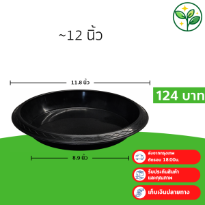 กระถาง กระถางต้นไม้ กระถางพลาสติก เบอร์ 12 นิ้ว สีดำ 10 ใบ ยกมัด