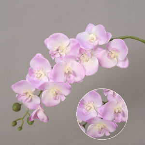 PLNBFG Wedding Decoration Home Supply Silk Flower Artificial Flower Simulation Butterfly Orchid 3D Phalaenopsis Real Touch Plants