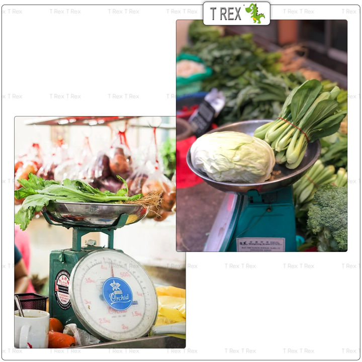 CAMRY%20Mechanical%20Spring%20Scale%203,%2010,%2050Kgs%20/%20Kitchenware%20Measuring%20Weighing%20Scale%20/%20Timbangan%20Pasar%20-%20Image%203