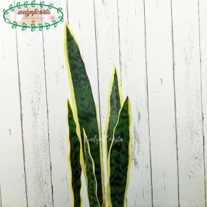 Pohon Artificial Pohon Hias Lidah Mertua Latex Variasi Warna Pot Dasar Hitam Plastik Cover Seagrass Dekorasi Sudut Ruang Aesthetic