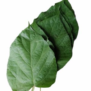 LLC FRESH ALAGAW LEAVES 100G PER PACK