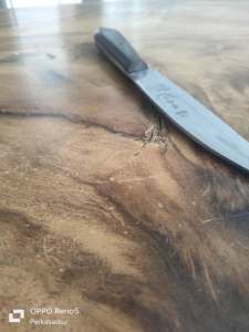 Pisau Daging Cap Garpu Fulltank Asli Baja