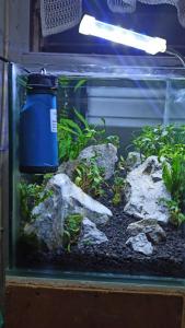 Skimmer Aquarium Amara SK 03 Penyedot Kotoran Minyak Untuk Akuarium 30 - 60 Aksesoris Sirkulasi Full Set Penjernih Skimer SK-03 Mini Surface Produk Original Murah