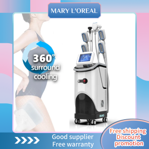 360 Criolipolisis Cryo Slimming Cellulite Remove Fat Freezing With RF 40K Cavitation Weight Loss Cryo Body Shape