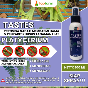 Obat Semprot Daun Tanduk Rusa / Obat Tanduk Rusa Terbaik / Obat Tanaman Hias Platycerium / Obat Platycerium Hili Papuanum / Obat Platycerium Wandae Papua / Obat Tanaman Platycerium Wandae Papua Bibit / Obat Daun Platycerium