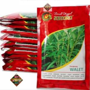 Benih bibit kangkung walet 100 gr