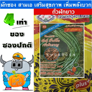 AAA 🇹🇭 ผักซอง 3A J020 #ถั่วฝักยาว พันธุ์ถั่วเนื้อเจ้าสำราญ ผักซองตั้ง ผักซองจัมโบ้ เมล็ดพันธุ์ผัก AAA สามเอ ผักราคาถูก เพียงกดเพิ่มสินค้าลงรถเข็
