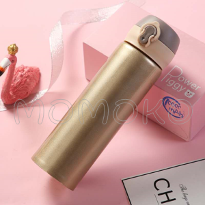 Double Wall Stainless Steel Vacuum Mug Flask Thermos Water Cup Bottle 500 ML