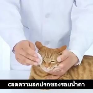 ผ้าเช็ดตาสัตว์เลี้ยง ผ้าเช็ดทำความสะอาดใบหู ดวงตา ผ้าเช็ดทำความสำอาดตา หู แมว 200แผ่น