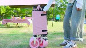 Outdoor Camping Trolley Camping Trolley Cart Folding Portable Camping Cart Trolley Foldable Portable Outdoor Sitting Trailer Belt Desktop Thickened 露营车