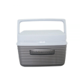 Rubbermaid Cooler 5qt 4.7L. 