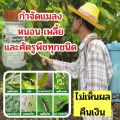 กอร์ดอน ออร์แกนิค ตร้าก้าวทวี สมุนไพรกำจัดศัตรูพืช เป็นออร์แกนิคไม่มีสารเคมี ไม่มีสารตกค้าง. 