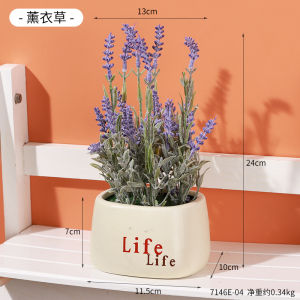 Chậu Cây Giả Hoa Giả Đế Gốm Chữ Life Để Bàn Trang Trí Nhà Cửa Bàn Làm Việc Phòng Khách Phòng Ngủ