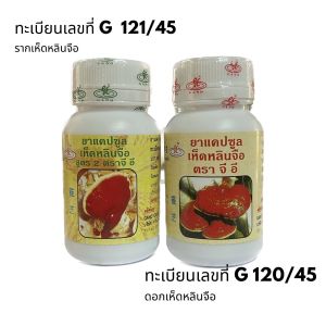 ราก ดอก เห็ดหลินจือ กาโนเอ็กเซล เชตรากดอก90 แคปซุล