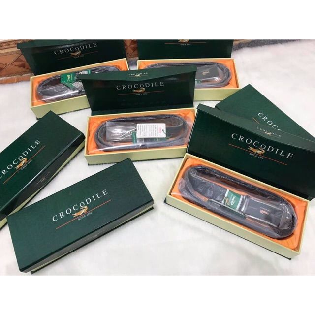 TH%E1%BA%AET%20L%C6%AFNG%20NAM%20C%C3%81%20S%E1%BA%A4U%20C%C3%93%20H%E1%BB%98P%20M%C3%80U%20XANH%20-%20Image%201