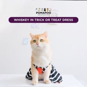 Trick or Treat Dress & Jumpsuit - Baju Kucing dan Baju Anjing POMAPOO Premium Berkualitas