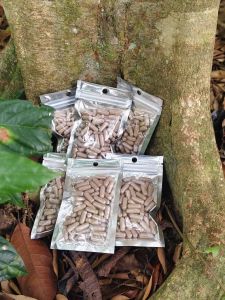 Tongkat Ali Capsules 100% Natural Herbal Supplement
