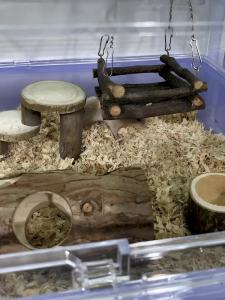 Đồ chơi cho chuột hamster vật dụng cần thiết trang trí cho chuột hamster vàng bộ cảnh quan hoàn chỉnh khung leo xích đu võng treo vỏ dừa