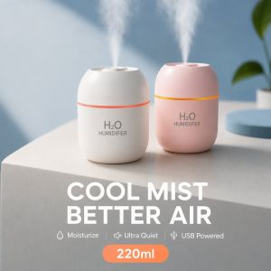 Mini Usb Humidifier Ultrasonic Cool Mist 2 Spray Modes Auto Shut Off For Car Office Bedroom