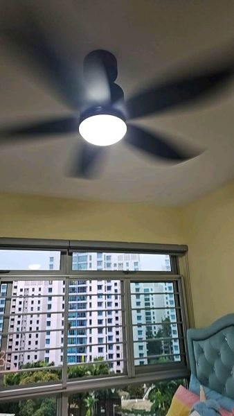 Buyer review video 5