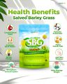 SALVEO BARLEY GRASS 100% ORGANIC TRIAL PACK. 