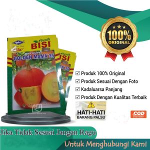 Benih Waluh F1 Bibit Labu Kabocha Jepang Asli Oren Orange Golden Mama 35 10g