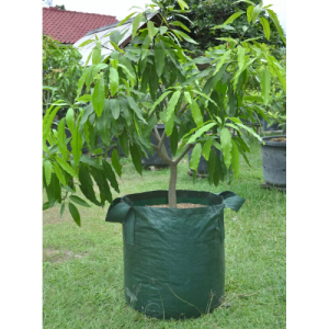 Pot Tanaman Hias 100 Liter Planter Bag Pot Besar Pot Bunga Besar PlanterBag Polybag Tanaman A307