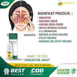 Obat Sinusitis Pilek Menahun Hidung Bau Busuk Tersumbat Lendir Berbau Tidak Sedap Radang Infeksi Sinusitis Polip Hidung dengan Propolis SM Herbal Asli