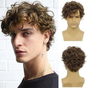 Wig Mens Brown Short Curly Hair Roll Bangs Short Curl Mens Hair Natural Curl Fluffy Wig Full Head Cover