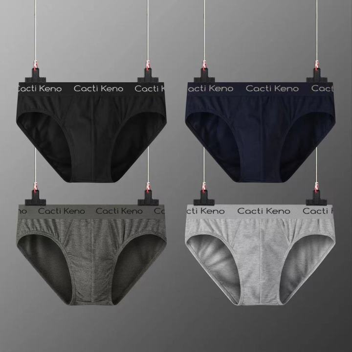 4Pcs Cacti Keno Stretch Cotton Briefs For Men Spandex Briefs Breathable  plus size L-5XL high quality underwear for men