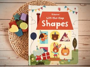 [SG Stock] Usborne Lift-the-flap Shapes