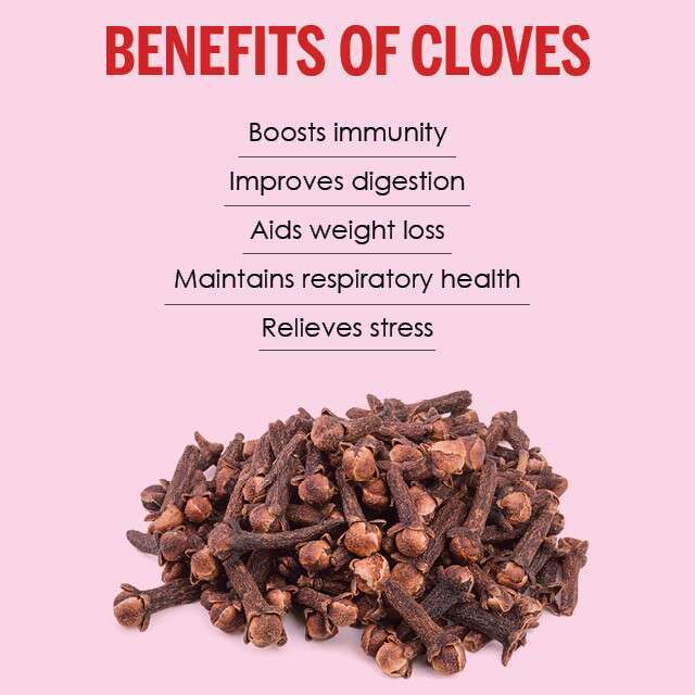 Imported 50 GRAMS Whole Cloves Lazada PH