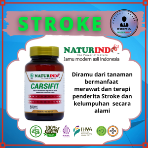 Obat Stroke Sebelah Sebagian Kanan Kiri Lumpuh Sulit Bicara Ampuh Kapsul Herbal Carsifit Naturindo