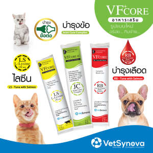 VF+core อาหารเสริมรูปแบบขนม สำหรับแมวและสุนัข ขนาด (12g x 5 ซอง)