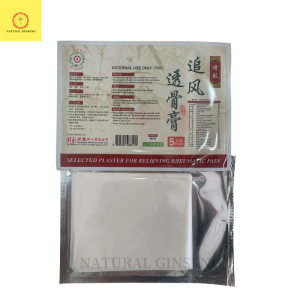 Selected Plaster For Relieving Rheumatic Pain (5 pieces)追风透骨膏 (5片装)【Bundle of 5 Pack】Improve blood circulation to relieve body pain smoother movement of limbs and joints.