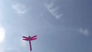 Intangible Cultural Heritage Ancient Style Kite Traditional Handmade Kite Exhibition Stage Props