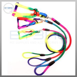 Rainbow Colored Nylon Round Dog Leash and Harness